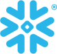 snowflake-bug-color-rgb@1x